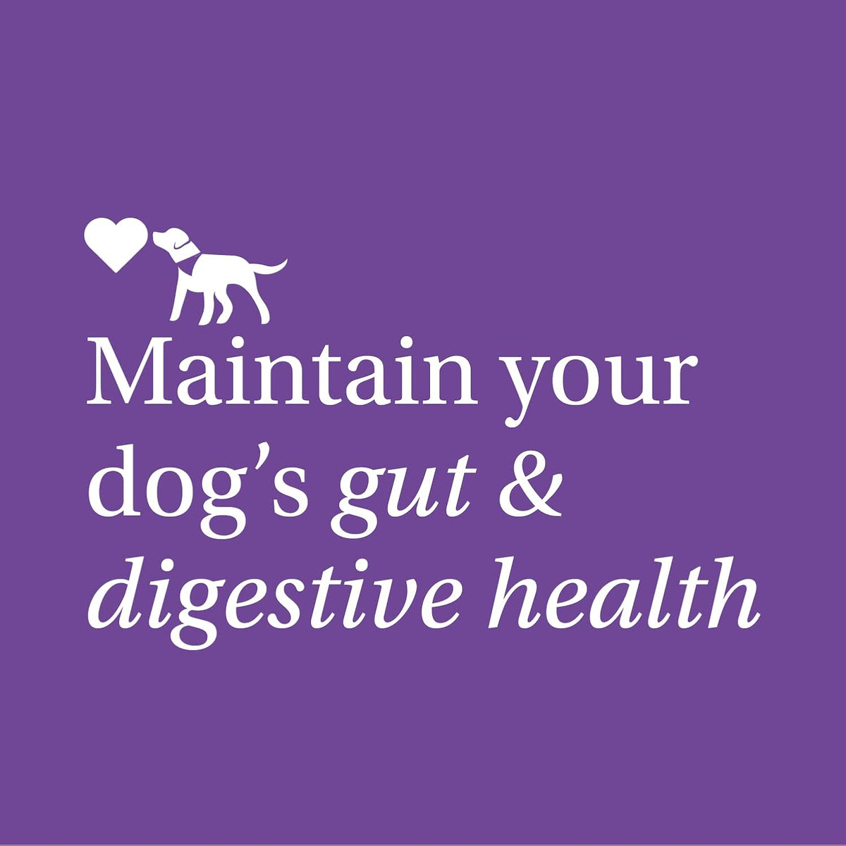PetLab Co. Dog Probiotic Chews – Gut Health & Allergy Support