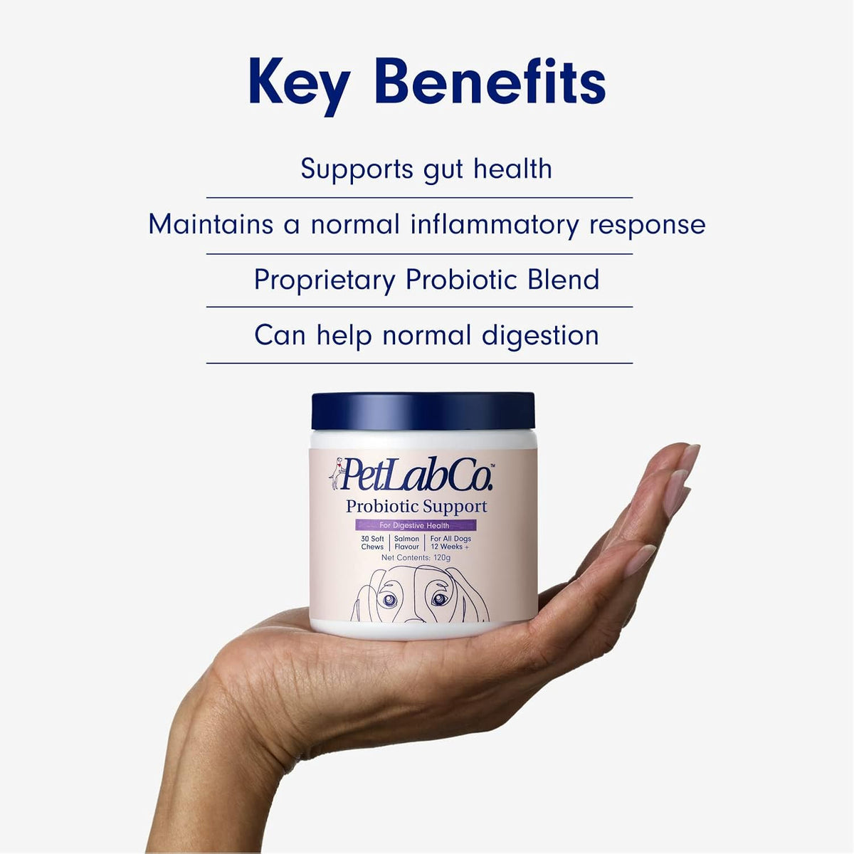 PetLab Co. Dog Probiotic Chews – Gut Health & Allergy Support