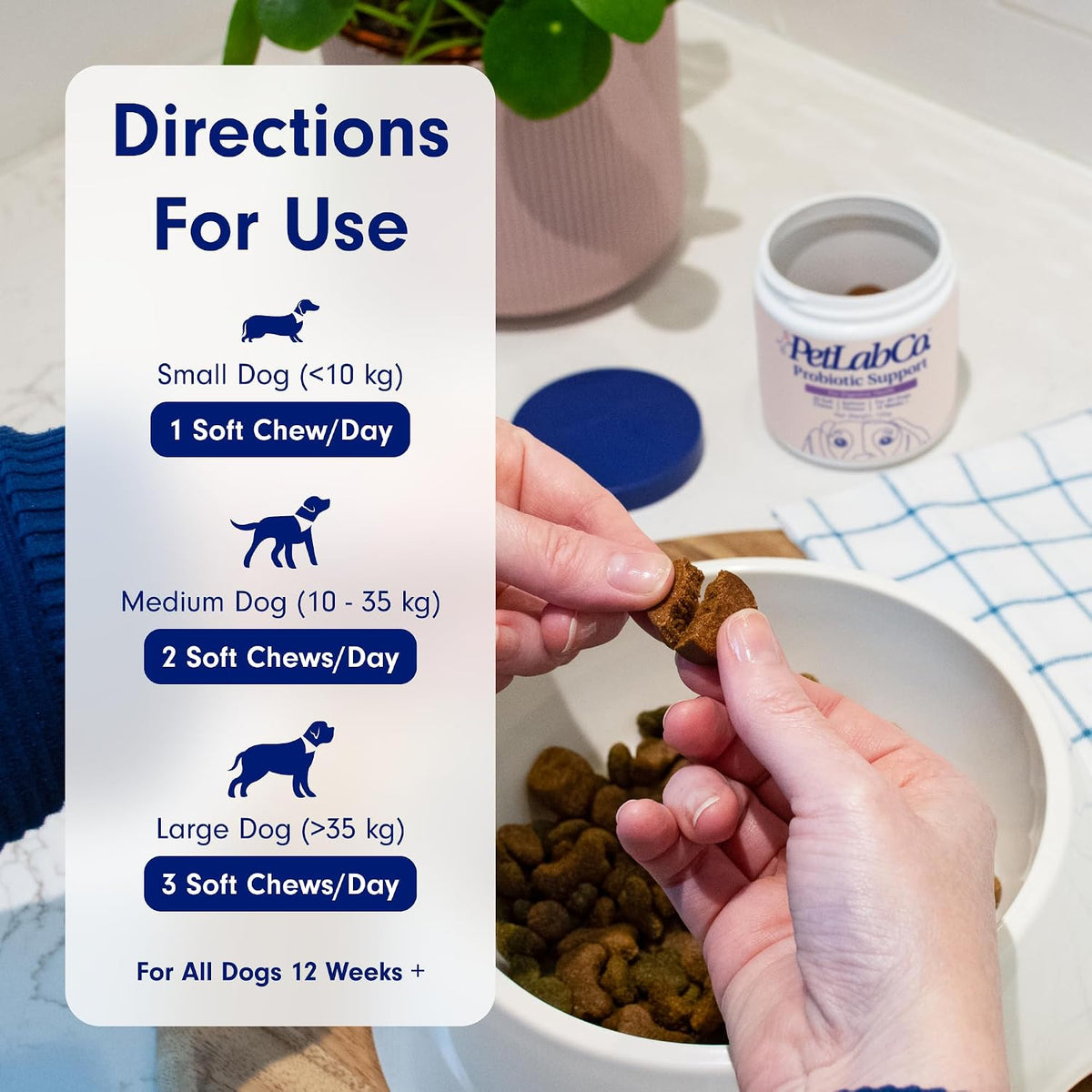 PetLab Co. Dog Probiotic Chews – Gut Health & Allergy Support