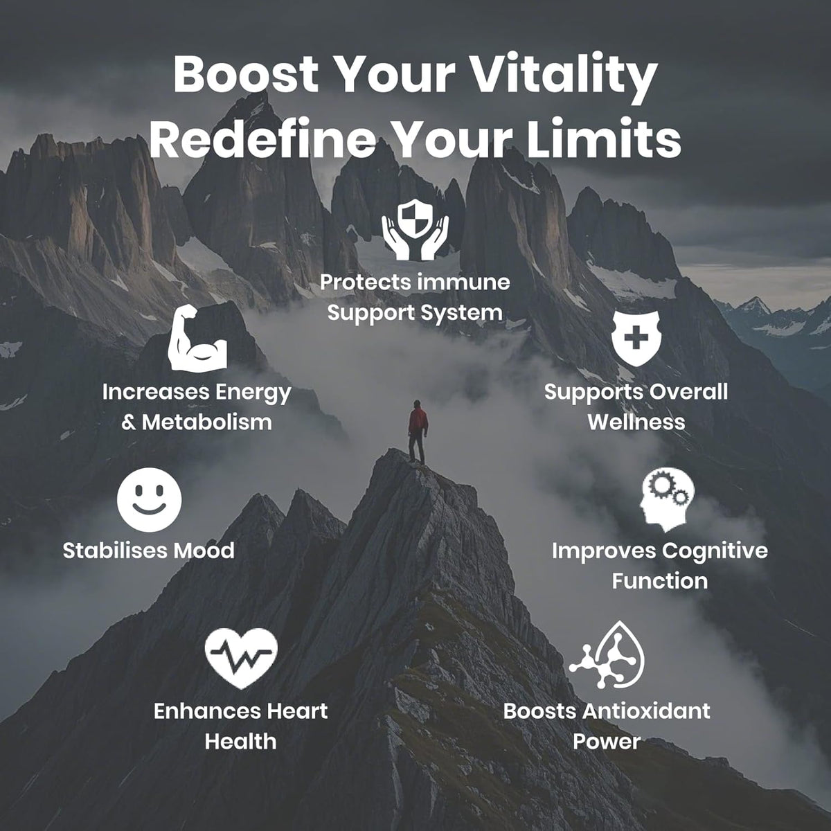 FLYNEW Shilajit Ultra Optimal Potency – 1300mg, 60ct | Olenfox Supply
