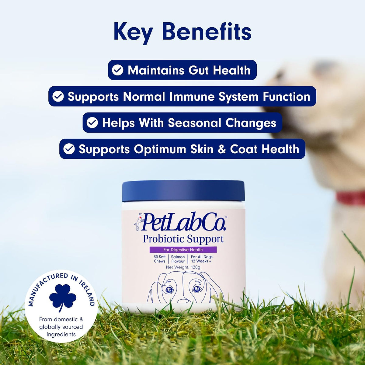 PetLab Co. Dog Probiotic Chews – Gut Health & Allergy Support